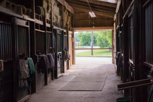 Barn Aisle to Outdoor Ring